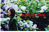 hanae